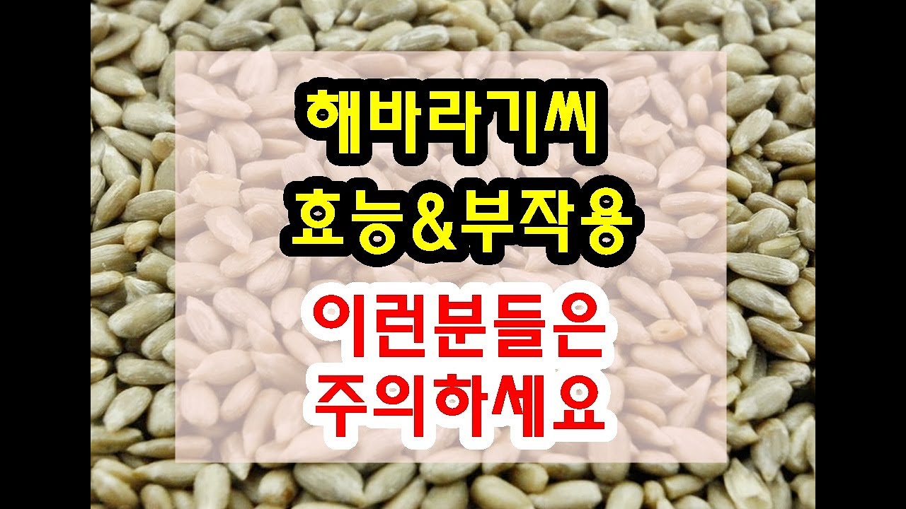 해바라기씨 효능과 부작용 잘 알고 드셔야해요~