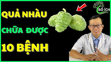 9 Lợi Ích Của Trái Nhàu Chữa Được 9 Căn Bệnh Thường Gặp Nhất – Kênh Sức Khoẻ Bổ Ích