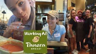 THINGS THEY DON'T TELL YOU AT PANERA - MY WORKING EXPERIENCE