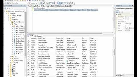 Tutorial GridControl VB DEVEXPRESS part I