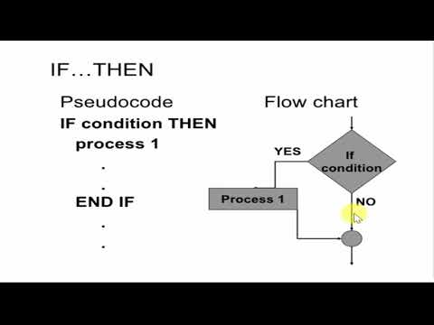 ทำความรู้จักการทำงาน FlowChart logic IF ทิศทางเดียว ใช้งานได้ทุกภาษา