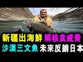 [字幕版] 新疆出海鮮 解除核食威脅 沙漠出產三文魚 未來反銷日本 / 格仔 大眼