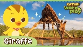 * Giraffe * | Katuri Word Play | Learn Animals | Animals for kids to learn