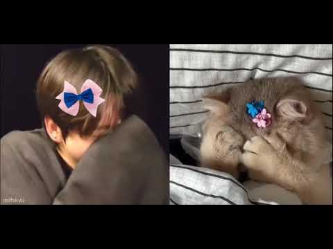 Find the difference 😂#bts
