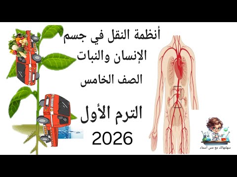 أنظمة النقل في الإنسان والنبات أنا و حسونة 2026الجزء الأول الدرس الرابع علوم الصف الخامس الترم الاول