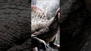 La Herida Secreta Del Spinosaurus De Jurassic Park 3