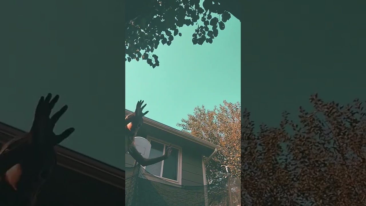 I Cracked My Neck