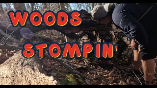 Stomping Around the Woods by Outdoors With NoNo 102 views 2 months ago 26 minutes