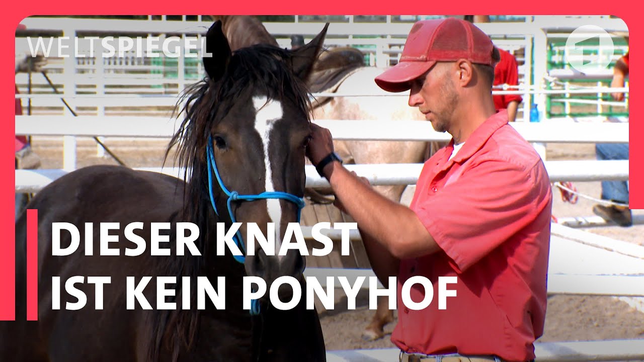 Eisbaden am Polarkreis | Reportage für Kinder | Pia und die wilde Natur