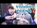 Crazy Voodoo Doll Hidden Camera Practical Joke