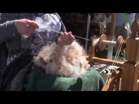 lk2g-017 2007 Maryland Sheep & Wool pt 2