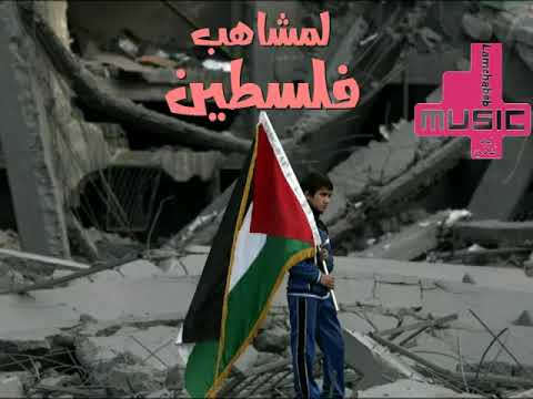 مجموعة لمشاهب من أحسن الأغاني على القضية الفلسطينية