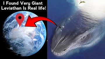 I Found Very Giant Leviathan Real!  😱 on google maps and google earth 🌎 #maps #earth #ddgoogleearth