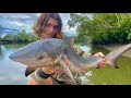 Shark Fishing Logan River - DEADLY Australian BULLSHARK! Pt.2