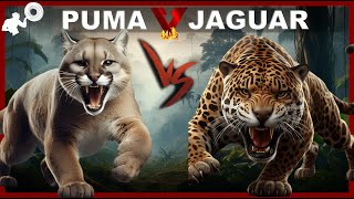 VS Jaguar, una lucha de titanes americanos, "QUIÉN GANARIA BATALLA"