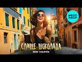 Иван Ильичёв - Слаще шоколада (Single 2025)