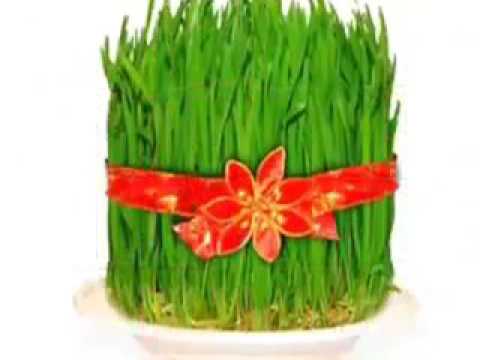 Novruz bayramina aid videolar(2)