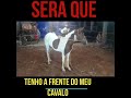 Como ter a frente do animal