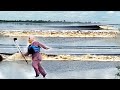 Only two in the world 😱😱 Super unique natural phenomenon Bono (Tidal Bore) 24 Nov 22