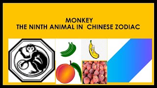 MONKEY - The ninth animal in  Chinese zodiac