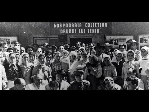 Video: Ce înseamnă colectivizare?