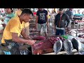 Fastest cutting speed  tuna fish cutting skills sri lanka