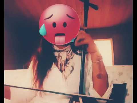 Practice Little flowerdrum Erhu 🇸🇪 cover