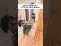 【玄関の工夫】ベンチ・手すり代わり・勾配天井の効果#玄関デザイン #ベンチ #下がり天井 #家づくりの工夫 #注文住宅