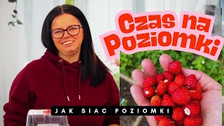 SMAK DZIECIŃSTWA = POZIOMKI JAK SIAĆ POZIOMKI