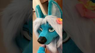 Tudo é azul 😅#iblue#wolf#fursuit#furry#pandora#fofa#pelucia#loba#fofura##blue#azul#cosplay