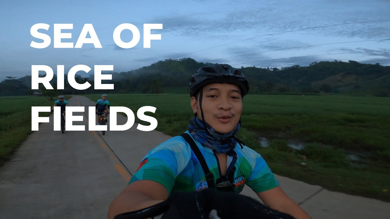 NEVER THOUGHT RICE FIELD CAN BE A GOOD VIEW | BASAKAN AREA | BUKIDNON ...