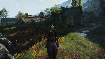 The Witcher 3: Wild Hunt - Complete Edition Performance mode PS5 Roaming around 4K
