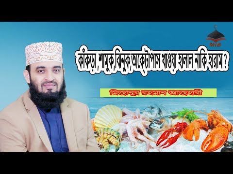 ভিডিও: শামুক কি সামুদ্রিক খাবার?