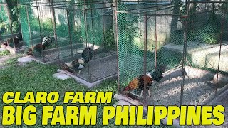 Nice Big Farm Philippines CLARO FARM
