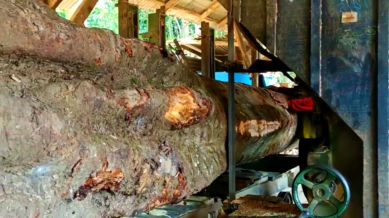 Horrible monster wood in the sawmill - YouTube