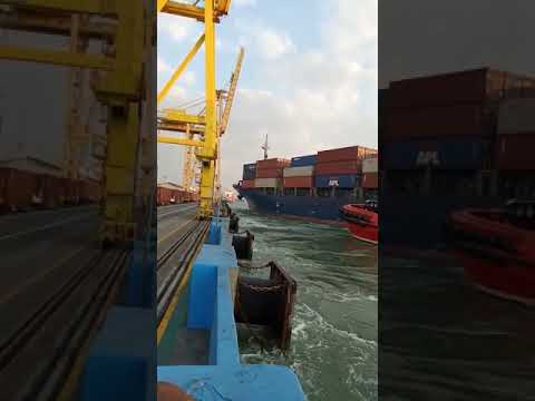 Video: Ludlow sadamas?