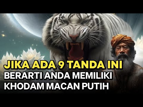 BUKAN ORANG SEMBARANGAN ‼️ INILAH 9 TANDA ATAU CIRI ORANG YANG DIDAMPINGI KHODAM MACAN PUTIH