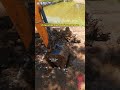 #working #satisfying #excavator