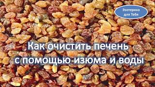 Как очистить печень с помощью изюма и воды Как очистить печень с помощью изюма и воды