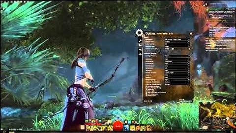 Configuring Action Camera — Guild Wars 2