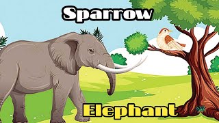 Details Short Story in English with Moral|the sparrow and The elephant| #shortstory#bangladeshi|@drpannalal News