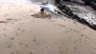 DSCF1409.AVI