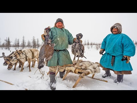 Как охотятся Коренные Народы. Ружья и ловушки. Секреты охоты на оленя, гуся, утку, песца | Факты