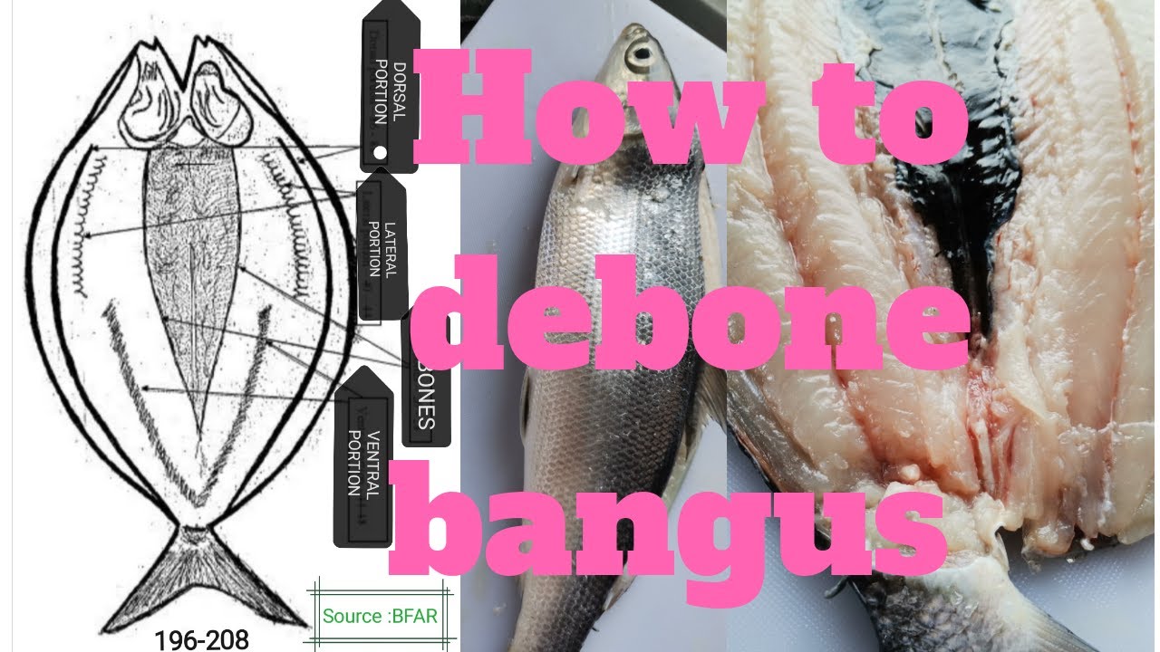 How to debone bangus, step by step tutorial improve audio 