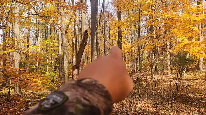 scouting late October. trying to find any fresh sign to hunt. Pennsylvania state game lands