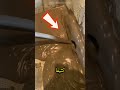 عندما فحص الرجل خزان المياه بعد عامين وكان مندهشا