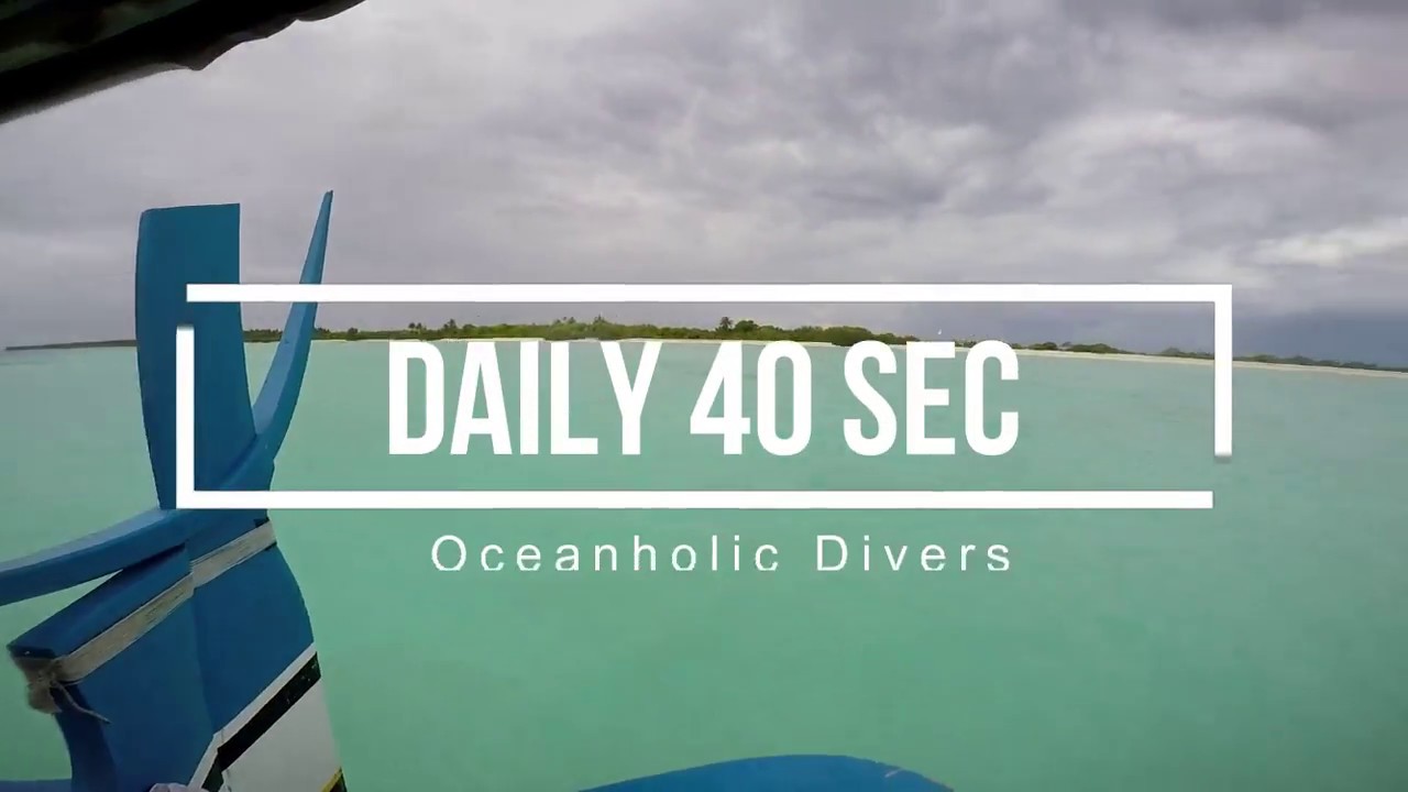 09.05.18 how True Oceanholic divers sees