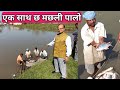 6 मछली एक साथ पालो । SIX Fish farming ।