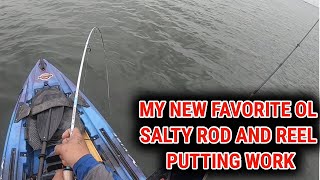 NEW FAVORITE OL SALTY ROD AND REEL COMBO 