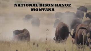 The National Bison Range Montana